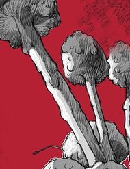 Truyện tranh Đại Dịch Tận Thế - TruyenQQ