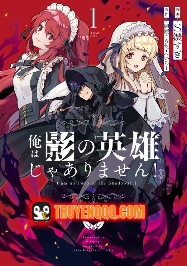 Truyện tranh Ta Không Phải Anh Hùng Bóng Tối! - TruyenQQ